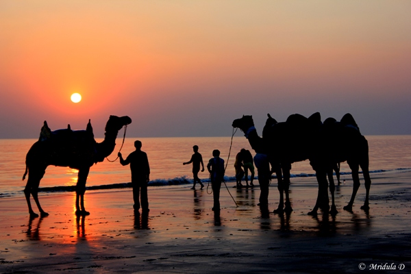 Mandvi Beach